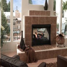 Heat & Glo Twilight II Indoor/Outdoor See-through Fireplace