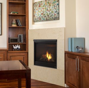 Heatilator Novus Gas fireplace