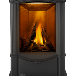 Napoleon Castlemore Direct Vent Gas Stove Series