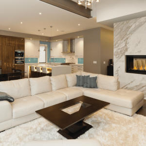 Napoleon Vector 38" See-Thru Gas Fireplace