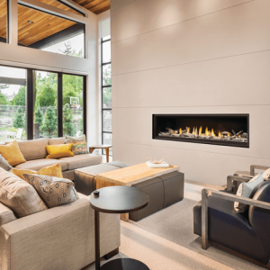 Livingspace With the Fireplace