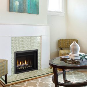 Regency® Horizon® HRI3E Gas Insert
